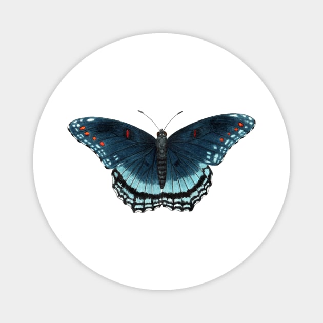 Red-spotted Purple Magnet by JadaFitch